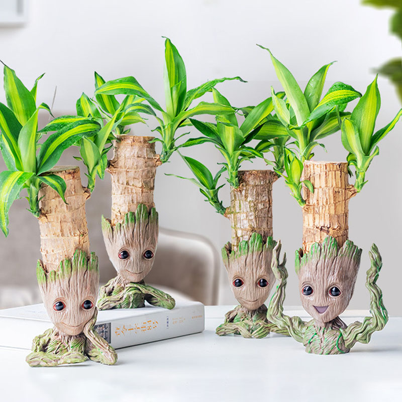 家の装飾のための植木鉢,モダンなミニマリストの花瓶,オフィス - Home Office Form のレビューと価格
