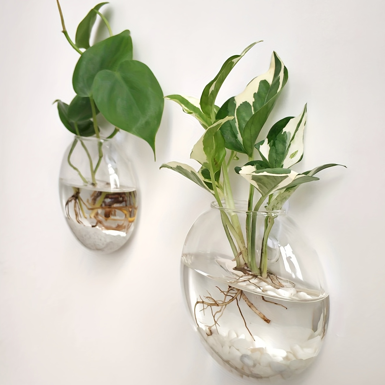 テラリウム植木鉢,家の装飾,壁掛け花瓶,水耕植物,オフィスギ - Home Office Form のレビューと価格