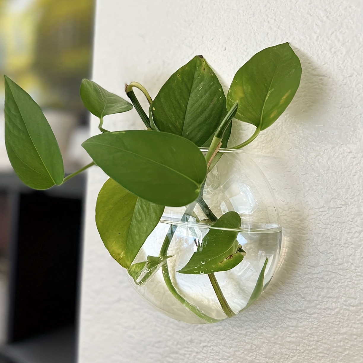 テラリウム植木鉢,家の装飾,壁掛け花瓶,水耕植物,オフィスギ - Home Office Form のレビューと価格