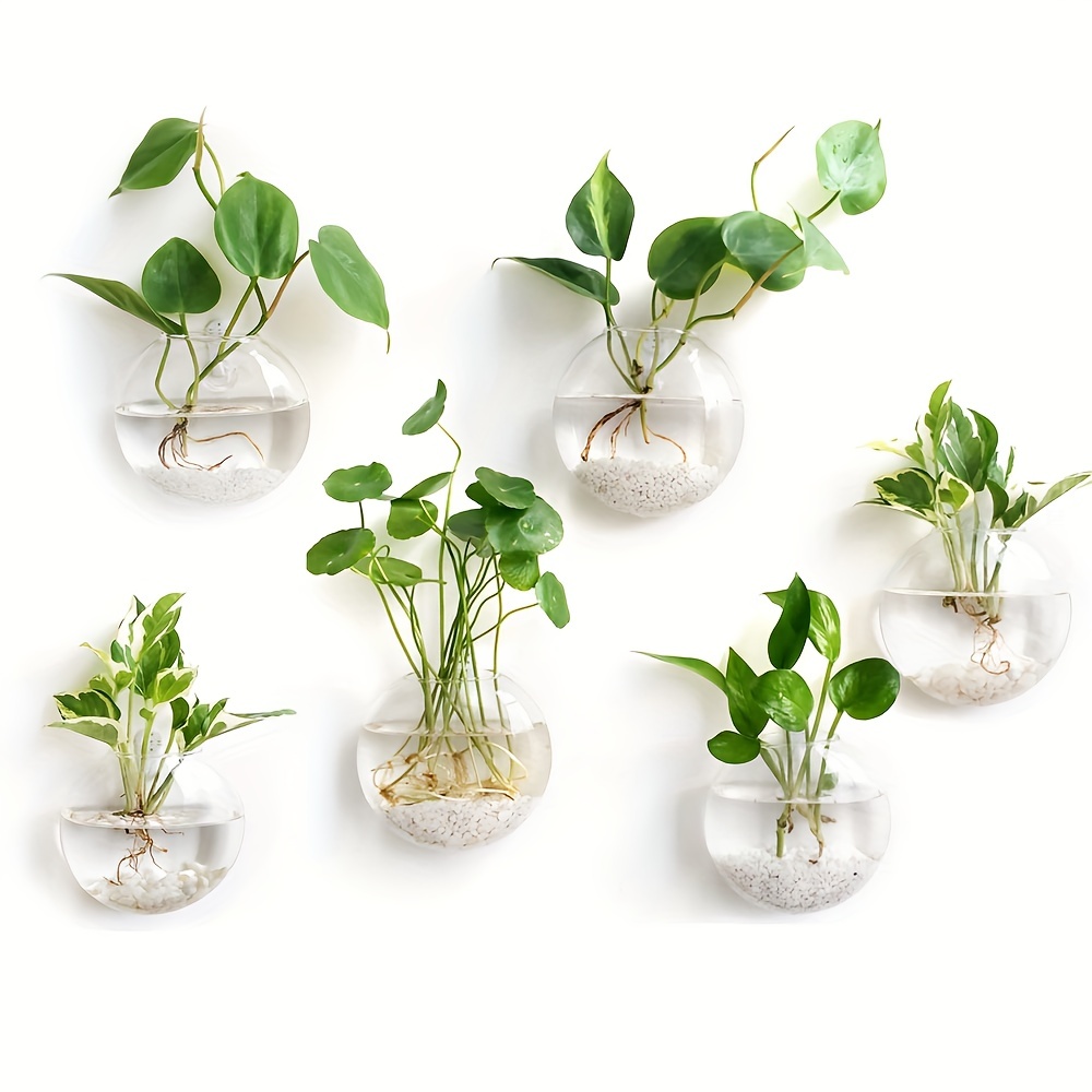 テラリウム植木鉢,家の装飾,壁掛け花瓶,水耕植物,オフィスギ - Home Office Form のレビューと価格